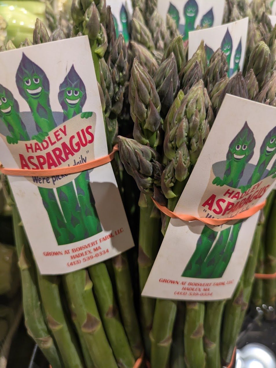 Bunches of Hadley asparagus from Boisvert Farm with their paper labels